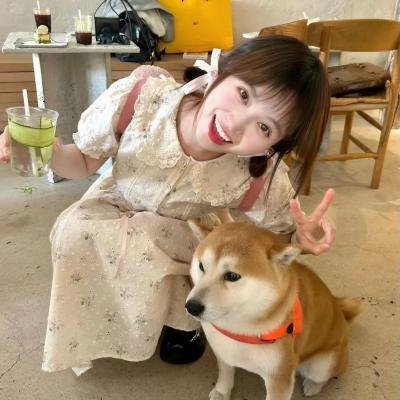 红气球之旅
